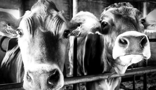 11月のコーヒーリスト