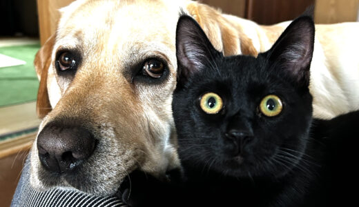 12月のコーヒーリストは…