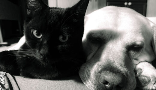 2026年1月のコーヒリスト